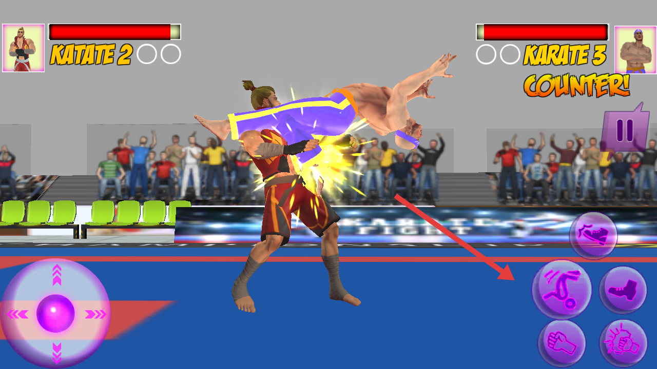 功夫空手道格斗