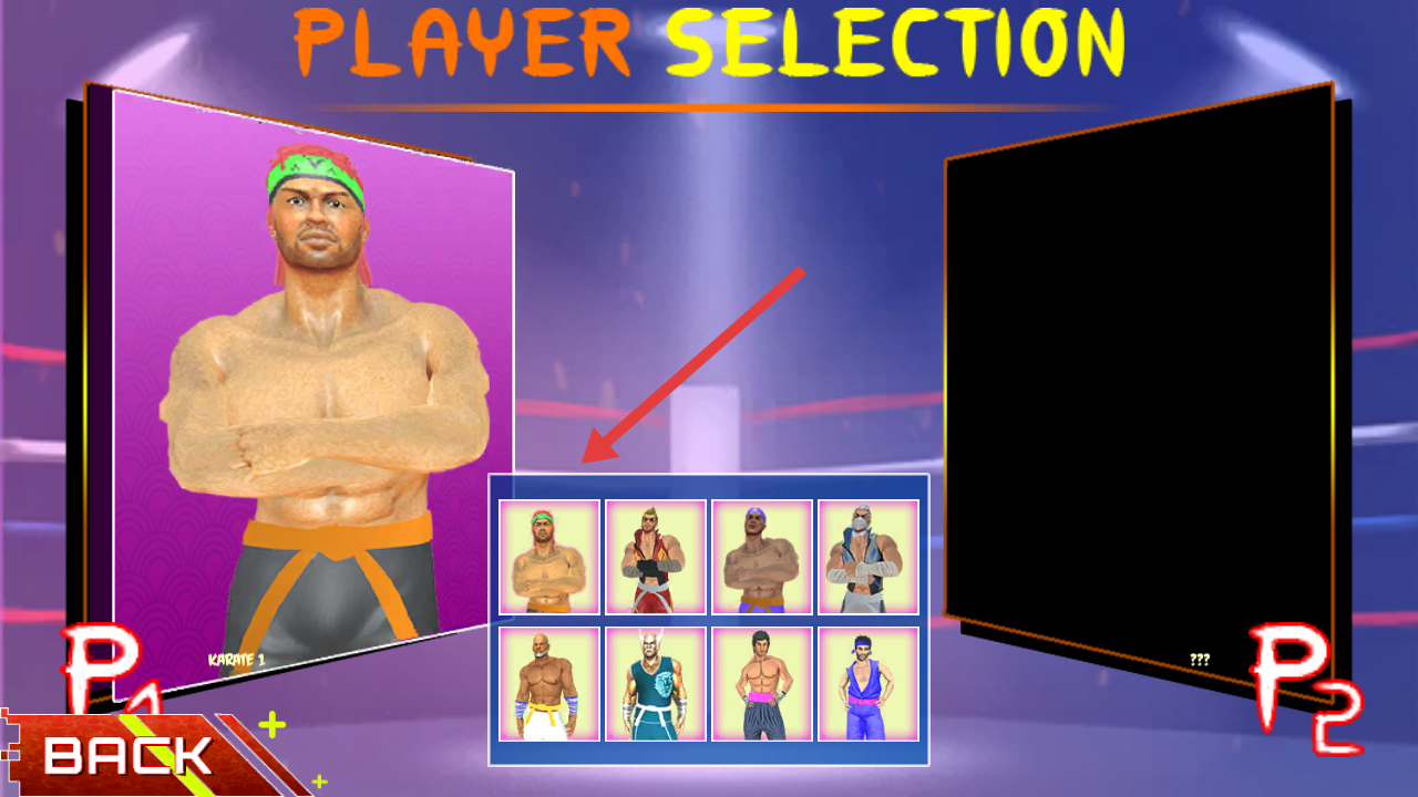 功夫空手道格斗