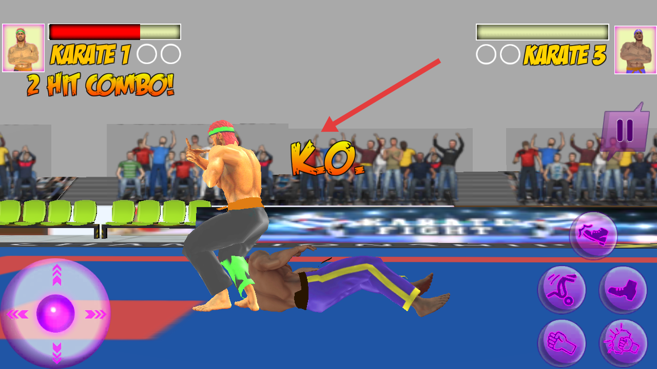 功夫空手道格斗