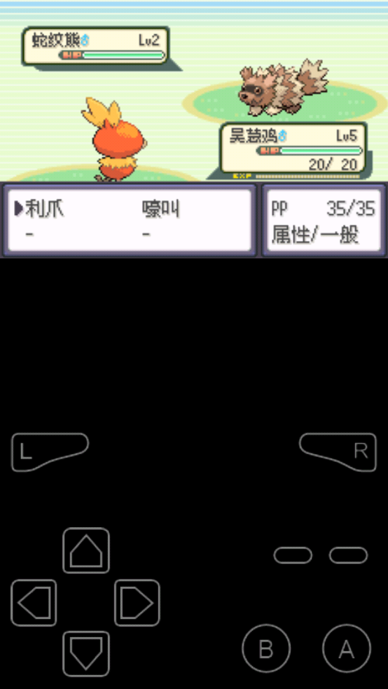 口袋妖怪罪恶的世界