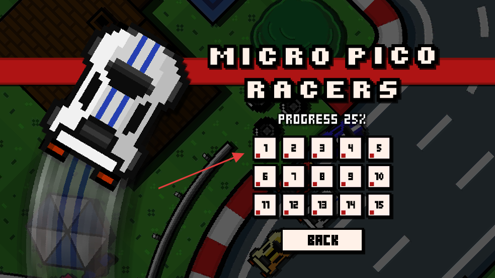 微型皮卡赛车手