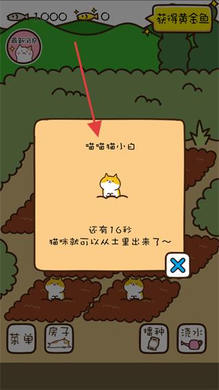 猫咪田园中文版