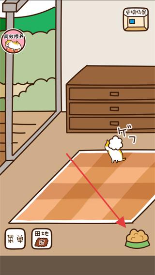 猫咪田园无限金币