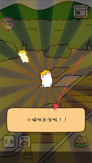 猫咪田园无限金币