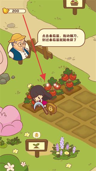 彩虹棉花糖小店