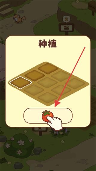 彩虹棉花糖小店免广告版