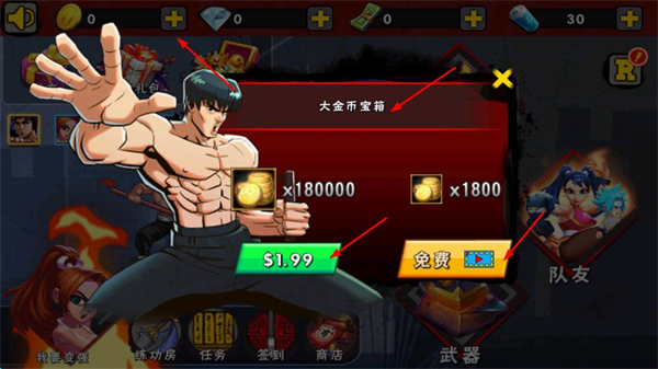 空手道王vs功夫大师