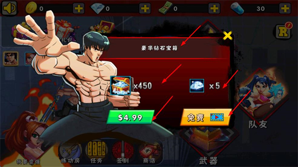 空手道王vs功夫大师