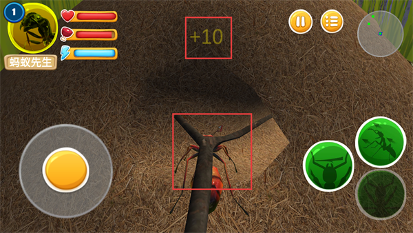 蚂蚁部落免广告