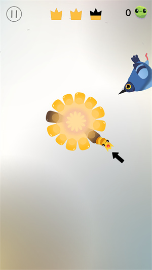 疯狂的鸽子游戏