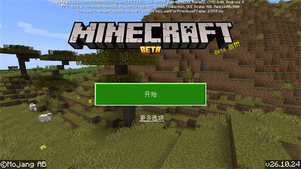 我的世界国际服