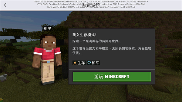 我的世界国际服