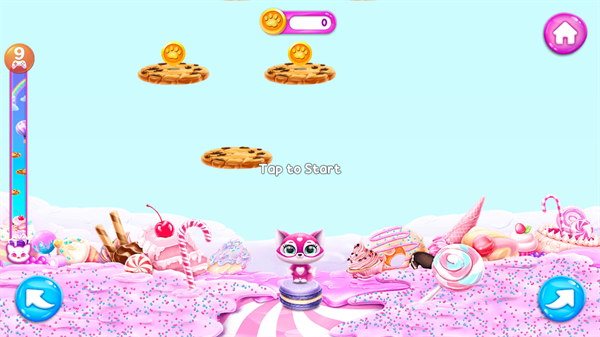 菲露茜斯宠物猫