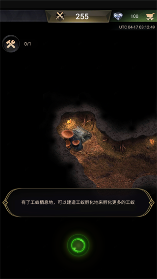 蚂蚁地下王国