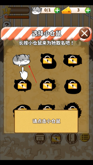仓鼠的日常