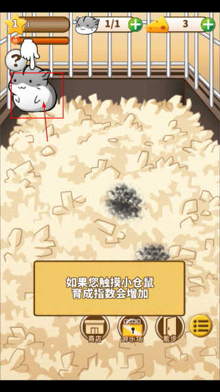 仓鼠的日常