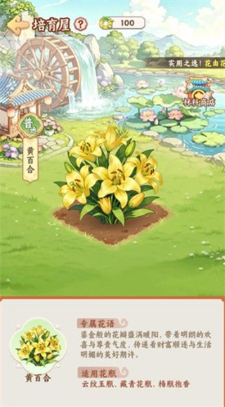 解忧花店