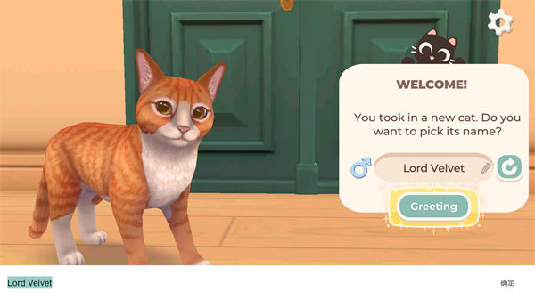 猫咪救援故事
