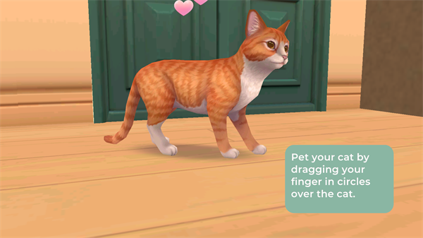 猫咪救援故事