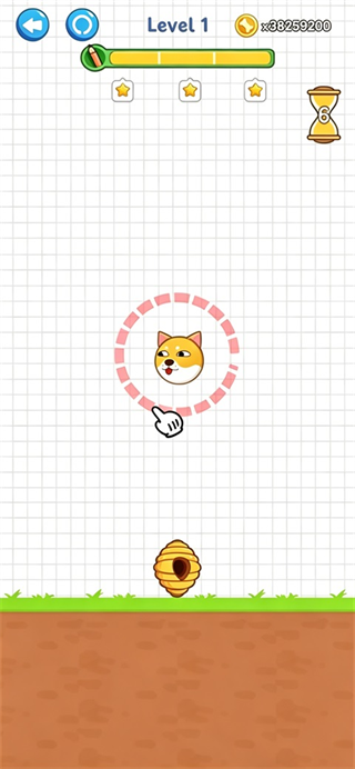 保护狗狗安全