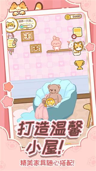 领养一只流浪猫