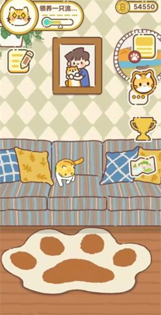 领养一只流浪猫
