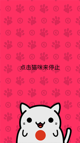 小偷猫