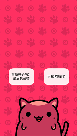 小偷猫