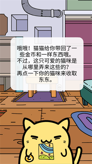 小偷猫
