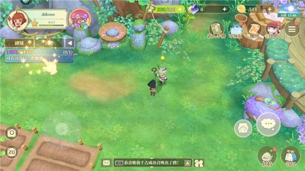Dreamy Garden