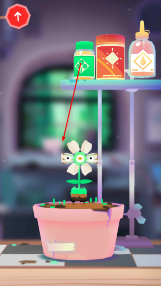 托卡实验室植物