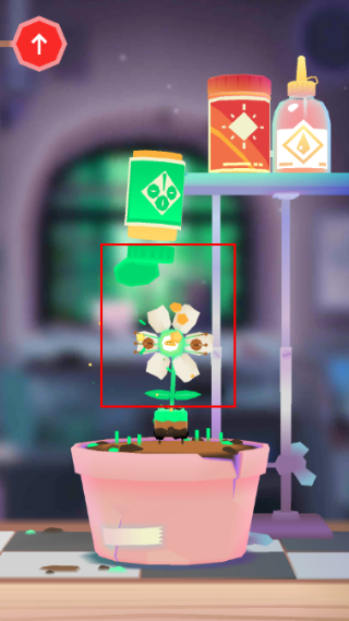 托卡实验室植物