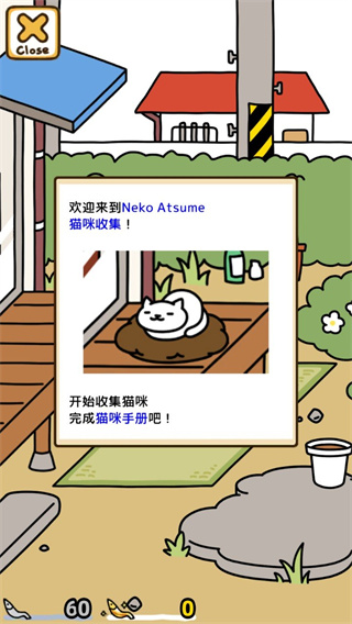猫咪后院2