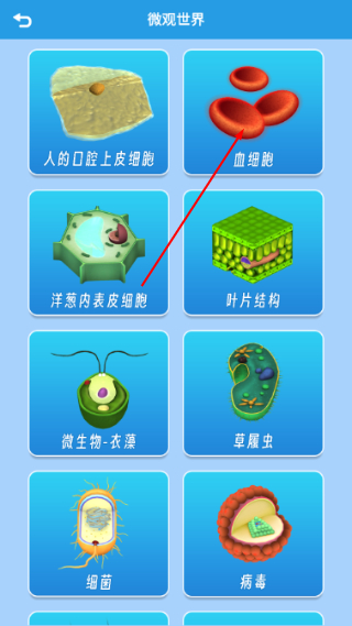 AR显微探索