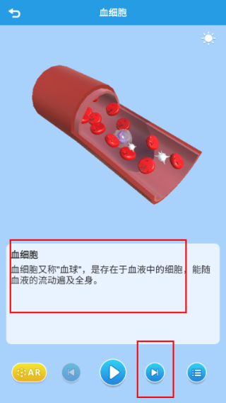 AR显微探索
