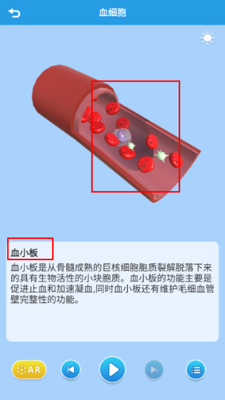 AR显微探索