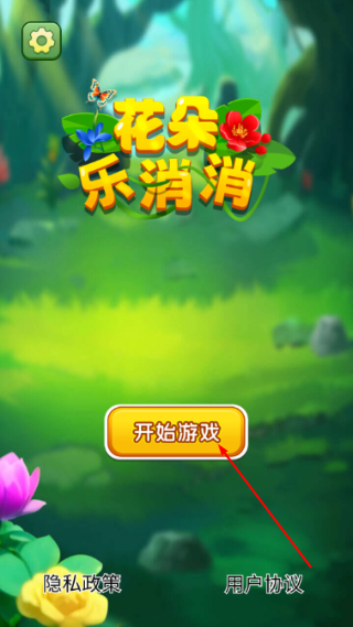 花朵乐消消