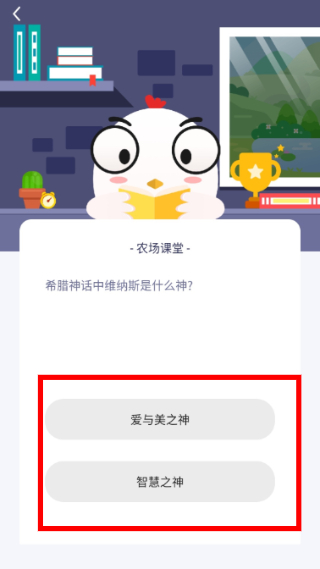 小鸡农场