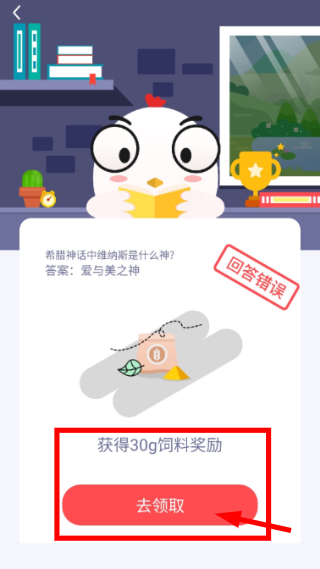 小鸡农场